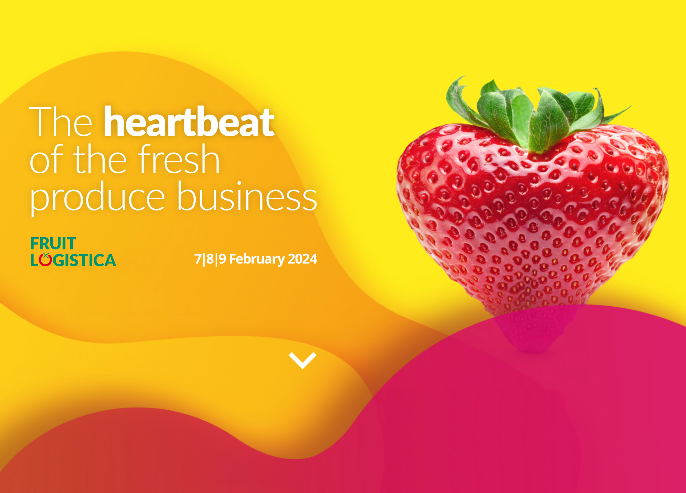 ULMA Packaging Will Be Displaying Smart Automatic Equipment And Lines   Fruit Logistica 2024 