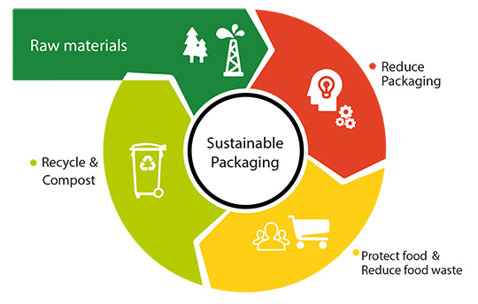 The Future of Packaging in Fruits and Vegetables for Export: Embracing  Eco-Friendly Paper Packaging Solutions